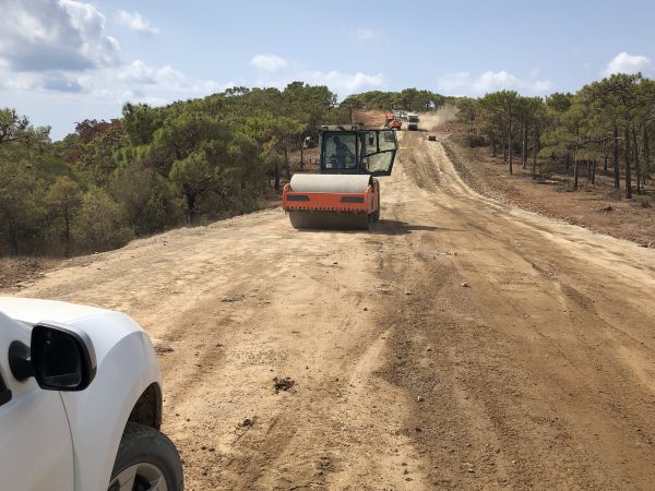 Cost of Driveway Grading in Logan