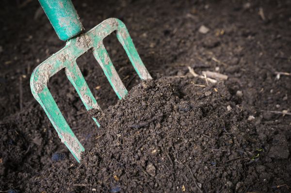 Cost of Topsoil Spreading in Logan
