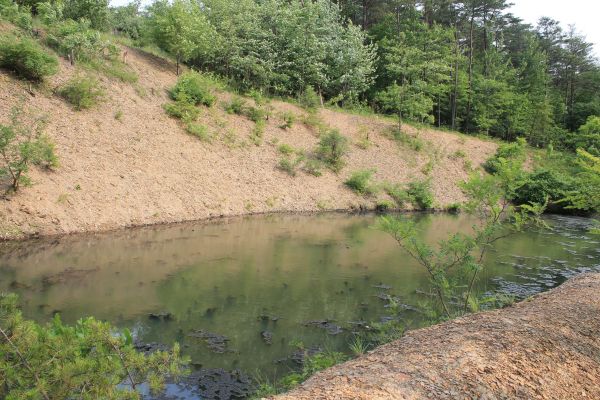 Cost of Pond Erosion Repair in Logan