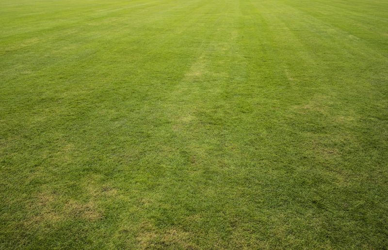 Lawn Leveling detail